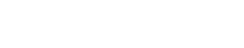 VIP VoIP