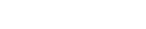 VIP VoIP